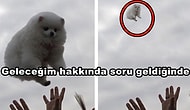 Yabancılara Kilometrelerce Öteden Empati Kurabileceğiniz Hayatın İçinden 23 Tweet