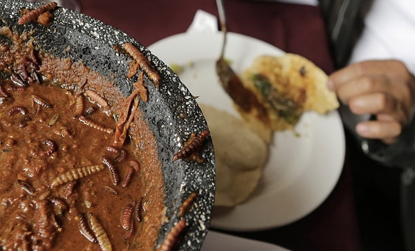 1. Некоторые насекомые в Мексике являются деликатесами. Например, эти черви, которые живут на агаве. Ими начиняют тако и едят, аж за ушами пищит!