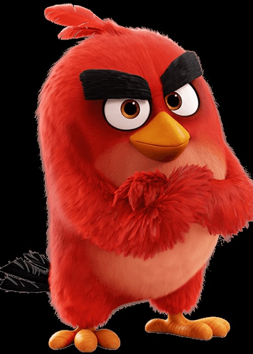 Volkan Konak & Angry Birds