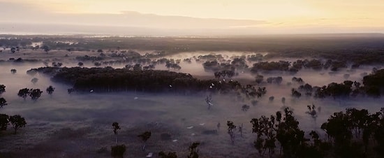 Kartal Gözünden Avustralya'da Doğal Yaşam