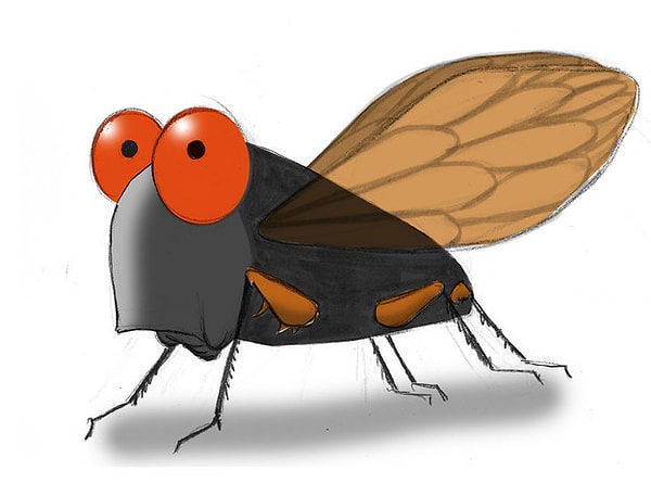 5. ...жужжания мух летом?