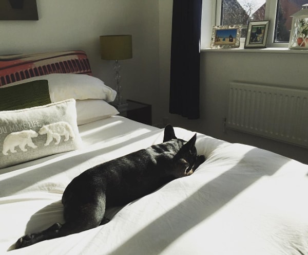 7. Заправленная утром кровать сделает вашу спальню более аккуратной.