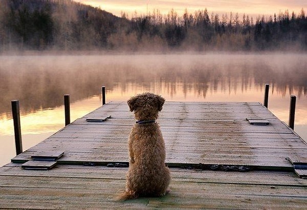 17. Не печальтесь ни о чем заранее и не радуйтесь тому, чего еще нет.