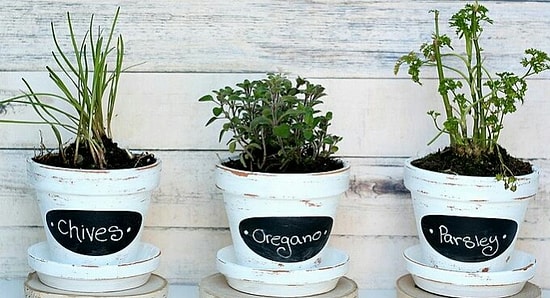 Готовимся к лету: 13 идей преображения старых цветочных горшков