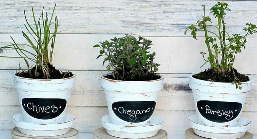 Готовимся к лету: 13 идей преображения старых цветочных горшков