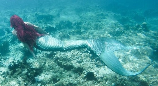 Девушка, помешанная на Disney, потратила больше $3000, чтобы превратиться в Русалочку