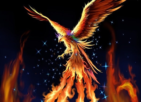 Вы - птица Феникс