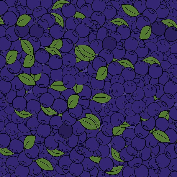 3. С черникой вам будет немного сложней, но вы справитесь. Уже видите те, что на тон темнее остальных? А сколько их?