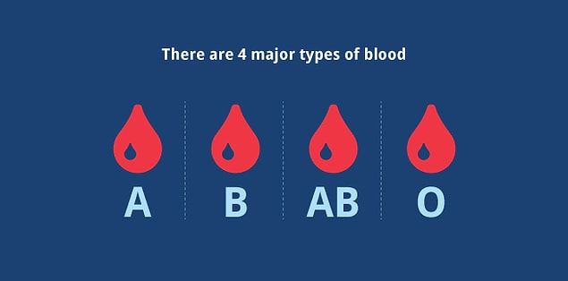 From this point of view different blood groups can be explained as follows: