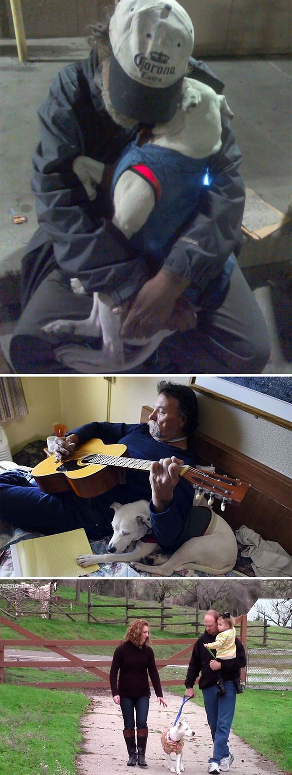 3. Бездомный мужчина, узнав, что он умирает от рака, и ему осталось жить всего пару недель, пожелал лишь, чтобы кто-то приютил его собаку