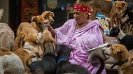 Hindistan'da 400 Sokak Köpeğinin Anası Olmaya Kendini Adamış Bir Kadının Hikayesi