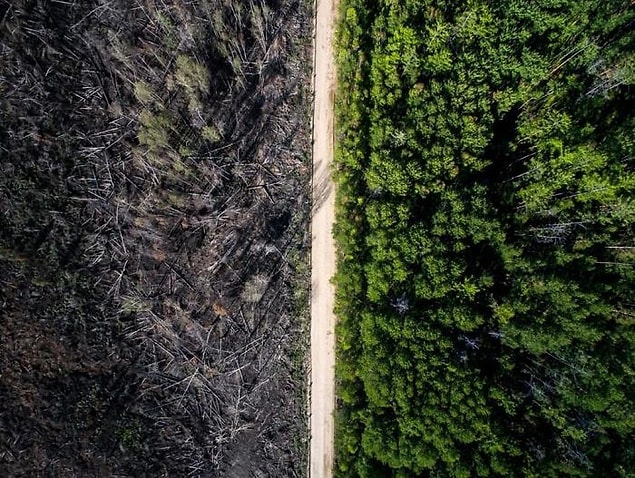 1. The Road That Stopped The Fire