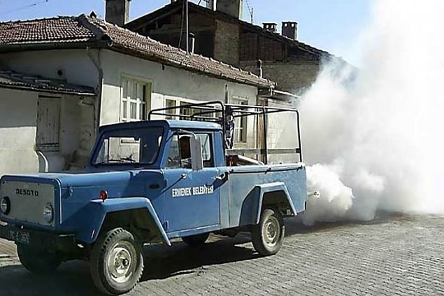 11. Karşımıza aniden bir şey çıkma tehlikesine rağmen korkusuzca sinek ilacı sıkan arabanın arkasında bıraktığı dumanın peşinden koşturmak.