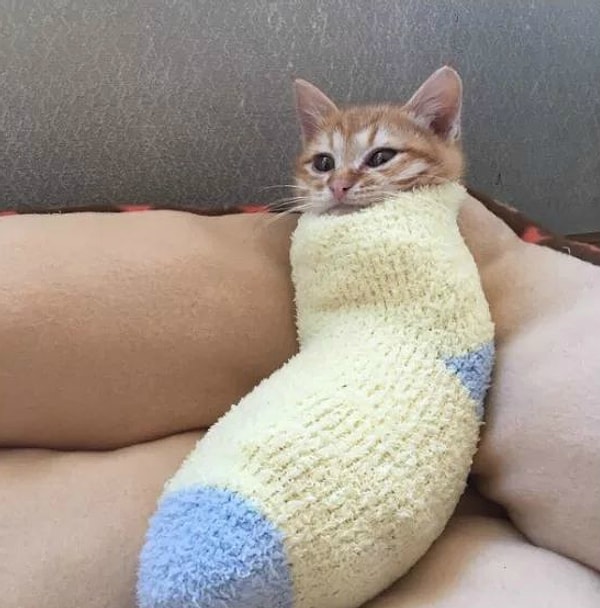 9. Сначала вы говорите, что мир полон всего интересного, и что нужно как можно больше путешествовать, но вместо этого проводите каждый отпуск вот так: