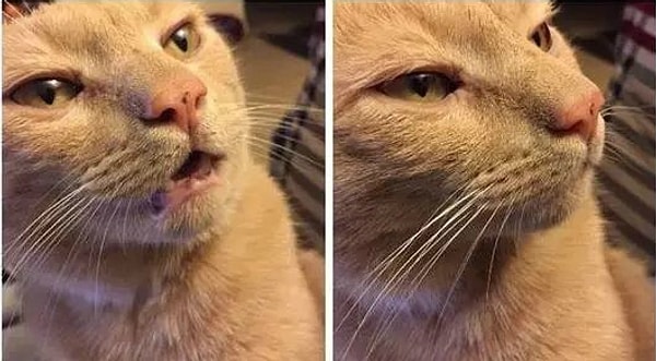 4. Когда вы собираетесь что-то сказать, но потом решаете, что оно того не стоит: