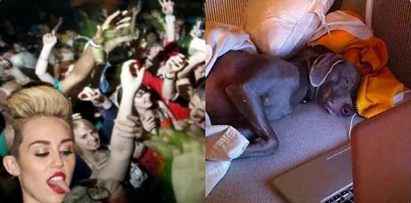 7. Выходные ваших одногодок vs ваши выходные: