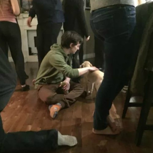 17. Когда на вечеринке вдруг появилась хозяйская собака: