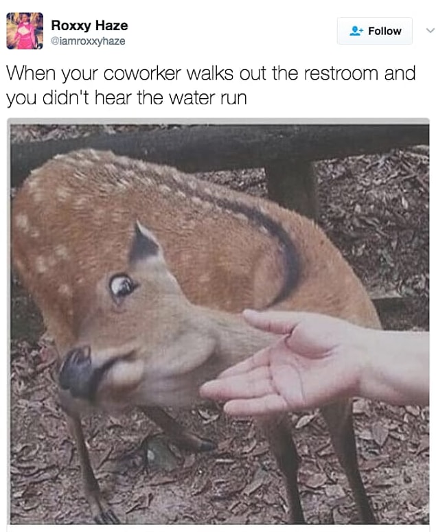 13.