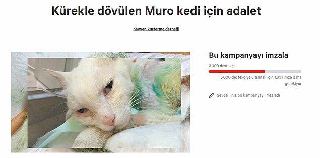Başata çifti sosyal medya sitesi change.org'da 'Kürekle dövülen Muro kedi için adalet' adında bir kampanya başlattı. Şimdiye kadar 3.009 kişi bu kampanyaya imza attı.
