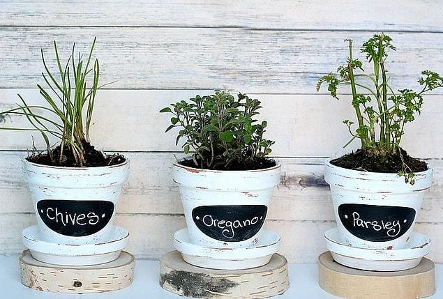 When the unwanted pots turn into chalkboards...