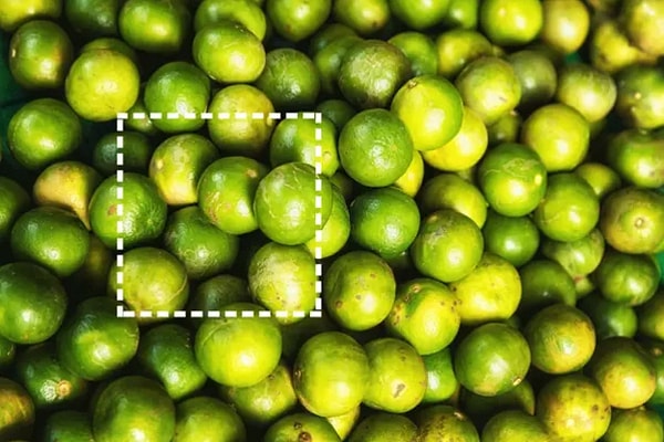 Показать правильный ответ