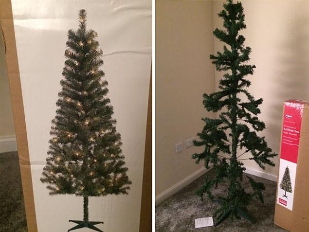 23. "Expectations vs. reality: Christmas tree."