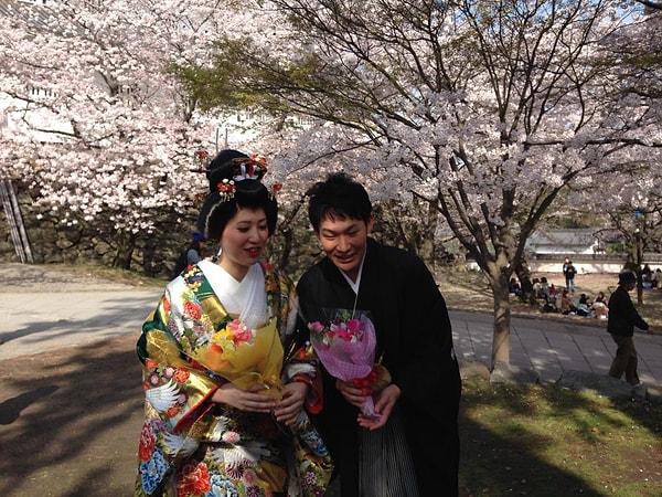 Sakura çiçeklerini seyretmek yıllar içinde Japonya'da çok özel bir gelenek haline gelmiş.