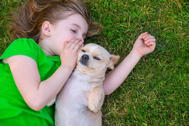 Köpek sahibi olan çocuklar daha çok egzersiz yapar.