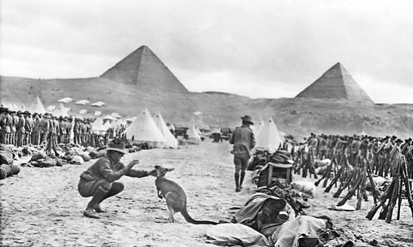 4. Piramitlerin önünde bir Avustralyalı asker evcil kangurusuyla oynarken, Mısır, 1914.