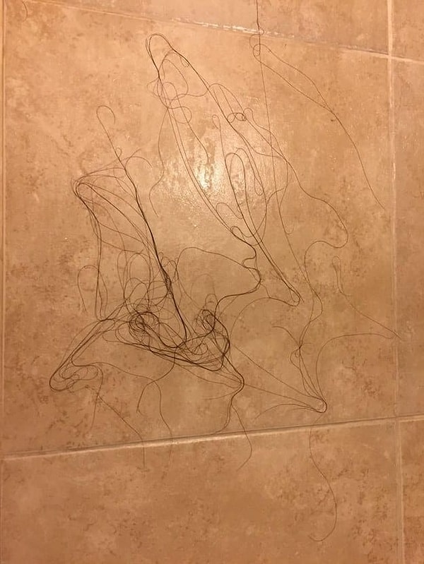 17. После принятия душа стены вашей ванной комнаты украшают сии "шедевры" современного искусства: