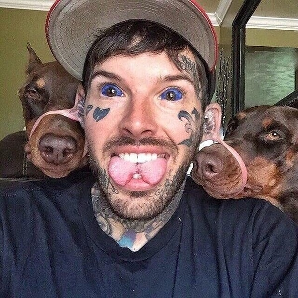 11. Тоннели и так не очень умная штука, но засовывать туда еще и собак — верх идиотизма