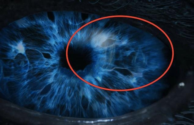 3. According to FacelessGreensear, the lines which appears around the top right of the iris looks almost like the Wall.