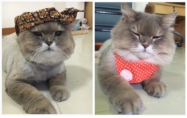 4. Всегда безумно харизматичен