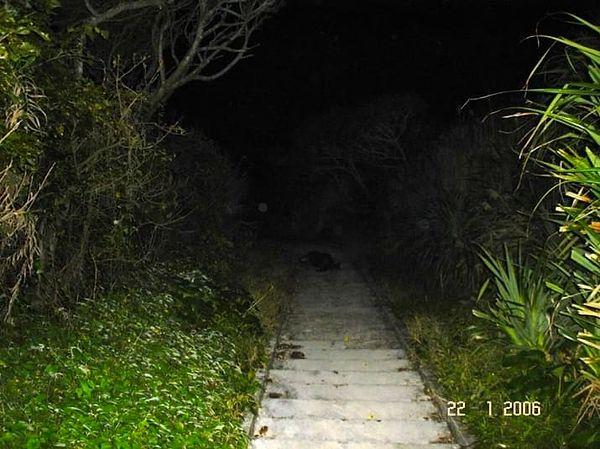 6. Or having to go down these steps, each step bringing you closer into total darkness:
