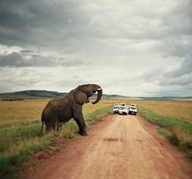 Afrika