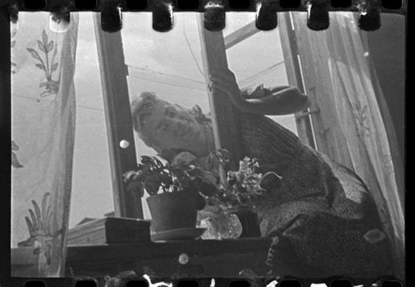 1940-1944, Stefania Schoenberg'ün pencereden verdiği poz