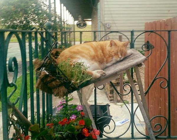 24. И всем понятно, кто в доме хозяин