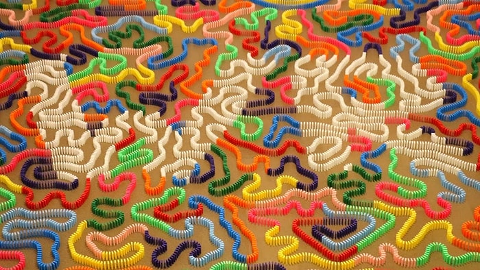 2 Günde Yaptılar 5 Dakikada Yıkıldı: 15,524 Domino Taşıyla Gelen Dünya Rekoru