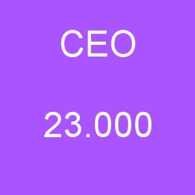 CEO - 23.000 TL!