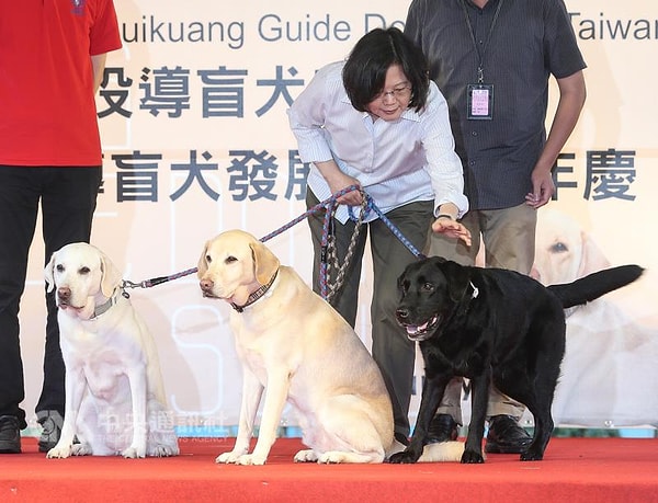 7. В прошлом году президент Цай Инвэнь завела трех собак в дополнение к уже живущим у нее двум кошкам.