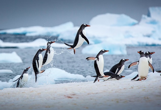 10. Antarctica