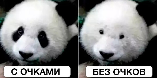 17 вещей, которые поймут только очкарики