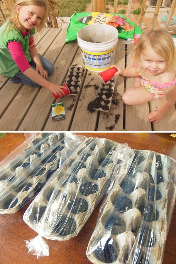 8. Смастерите минитеплицу из коробки из-под яиц