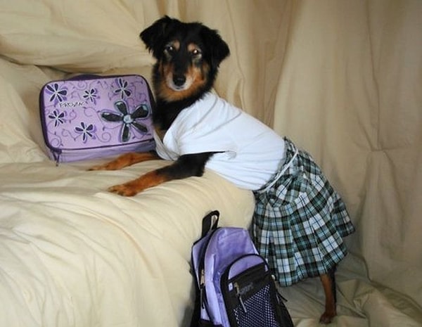 3. К школе готова