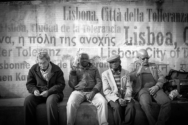 4. Руи Палха