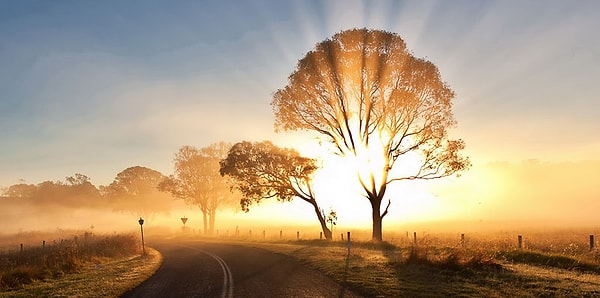 Людям нравится ваша преданность