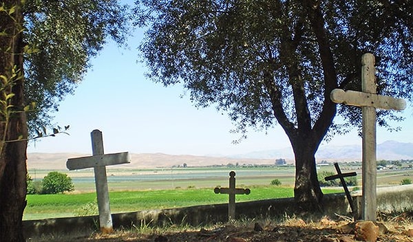 5. Чиновник, вылезший из могилы