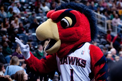 Atlanta Hawks / Harry – Skyhawk