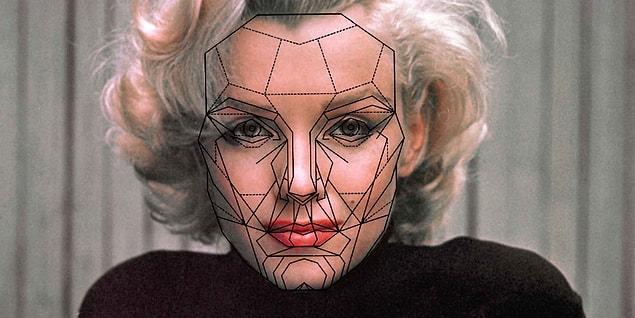 How does the Golden Ratio work with the human face?