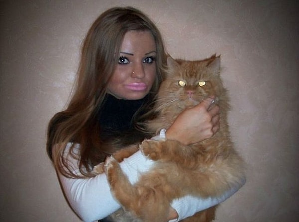 6. Кот, вероятно, испугался...